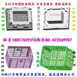 臺(tái)州塑料模具 甜瓜籃模具哪里做的好